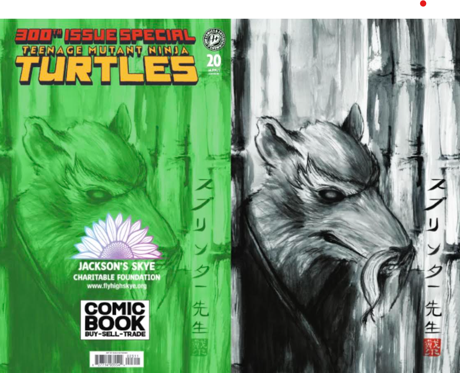 Turtle back cover